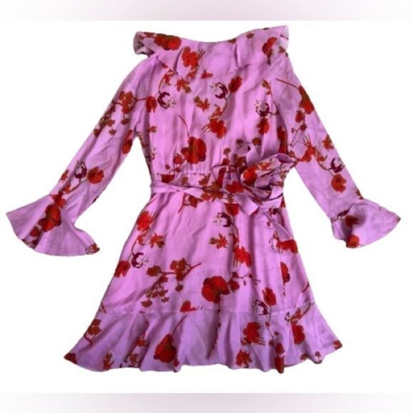 Cynthia Rowley Malibu Ruffle Silk Blend Mini Dress in Pink Poppy. Size XS - Picture 5 of 13